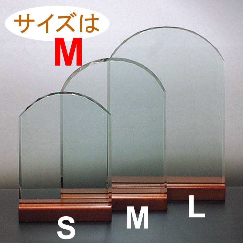 TCY͂l